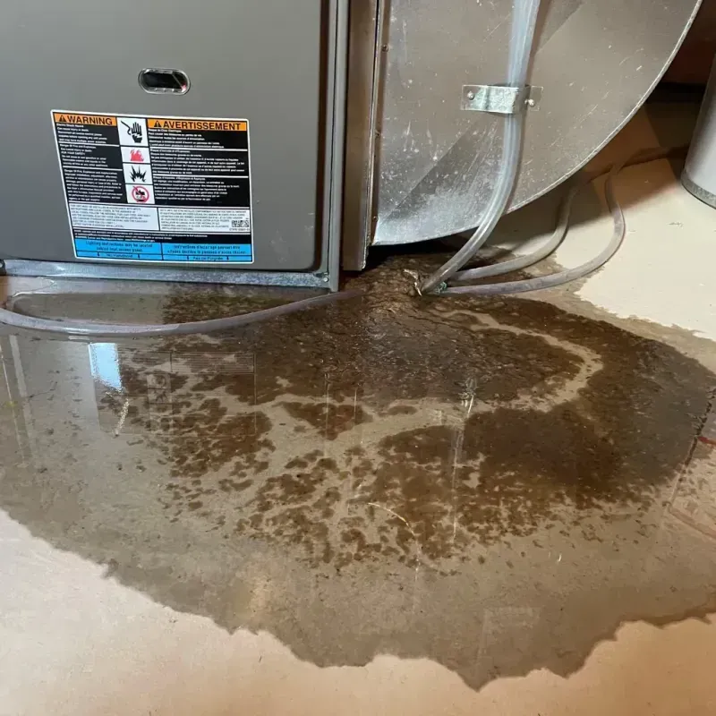 Appliance Leak Cleanup in Grape Creek, TX